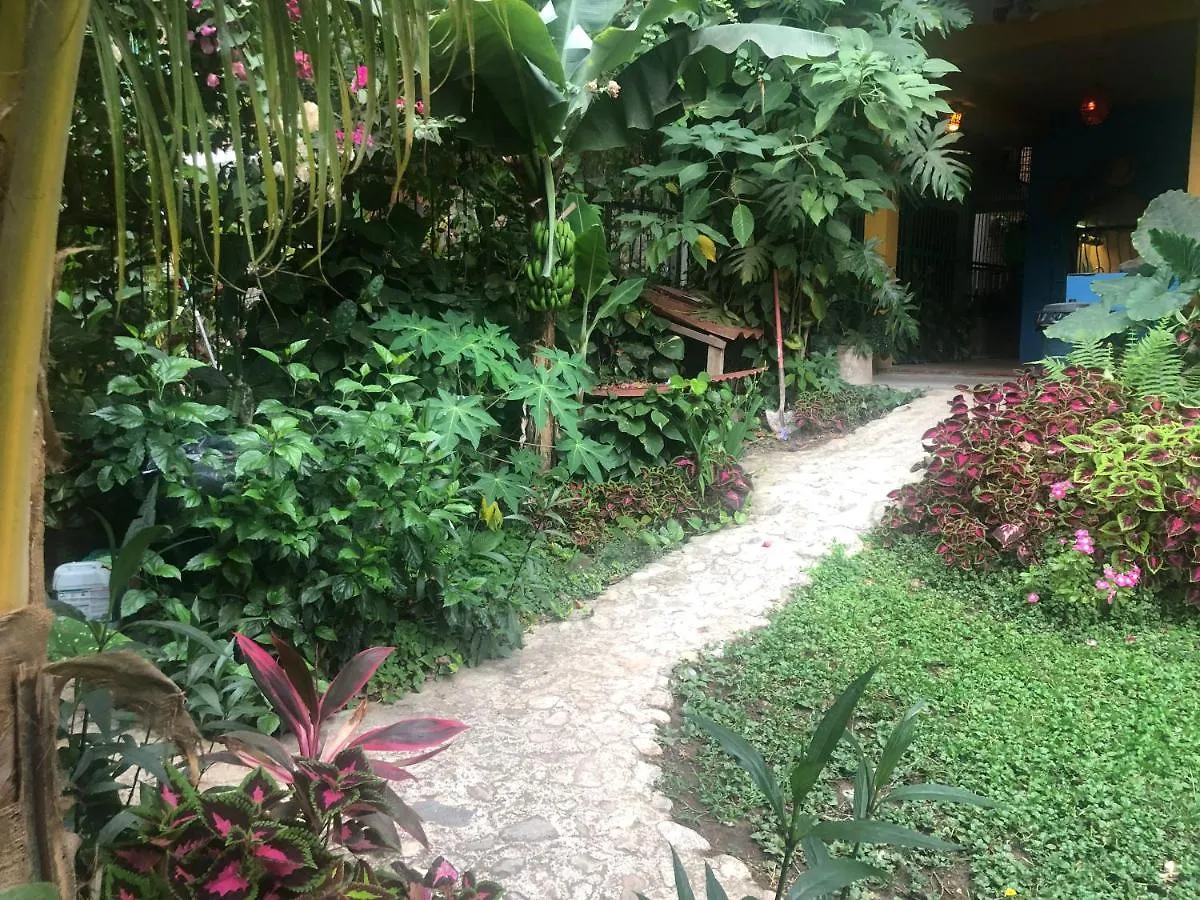 Casa Cereza Apartments Puerto Vallarta Mexico